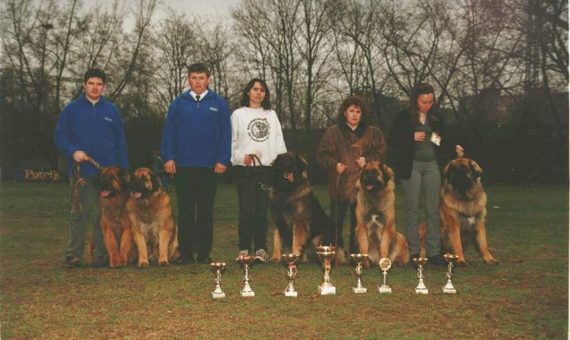 Sissy-Haus Leonberger a Gyztes Csapat 2000 (Baldur, Sissy, Aladin, Banja, Cuno)